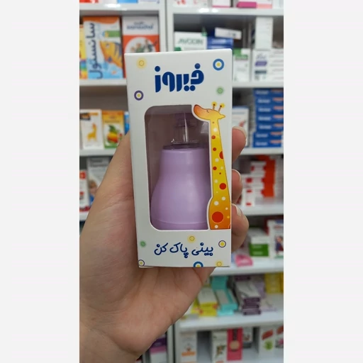 پوار بینی فیروز نمای ۲