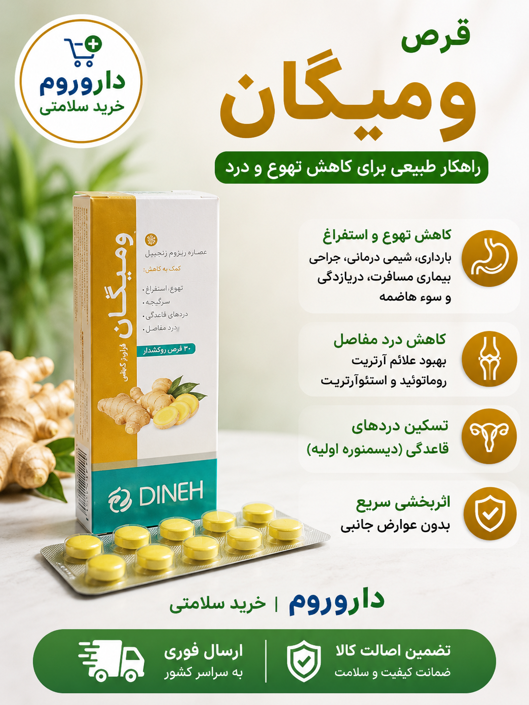 قرص ومیگان (زنجبیل) دینه 30عددی