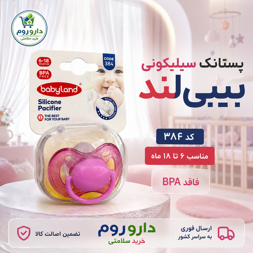 پستانک فندقی 6 تا 18 ماه بی بی لند کد 384