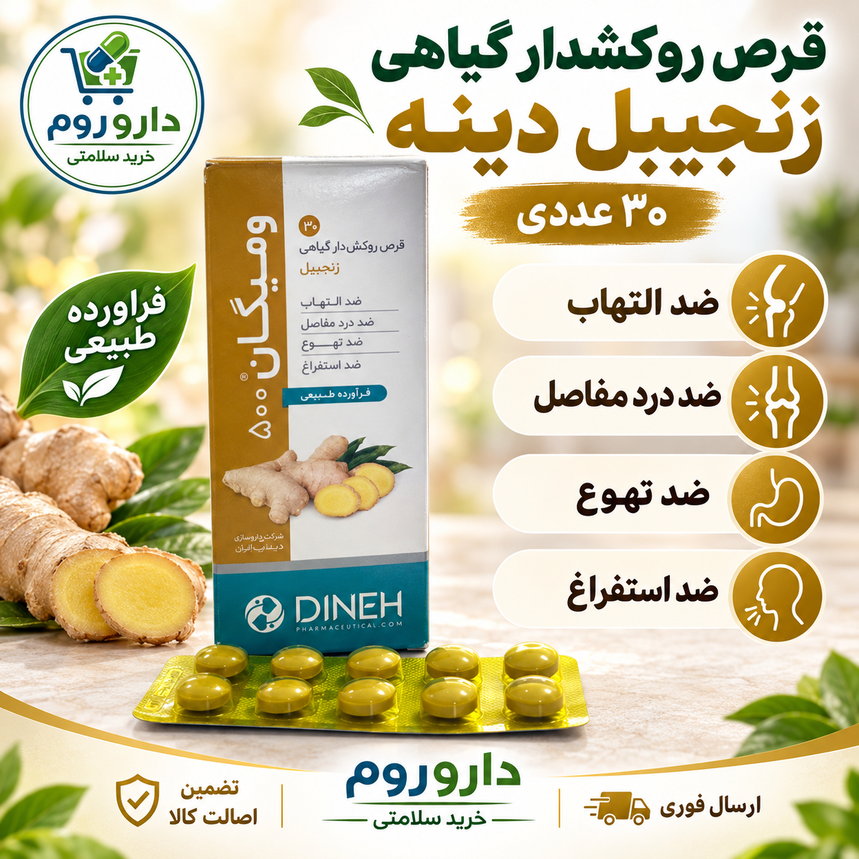 قرص ومیگان (زنجبیل) دینه 30عددی